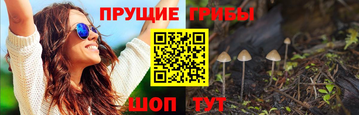 Саки  Псилоцибиновые грибы GOLDEN TEACHER  Вход с VPN 